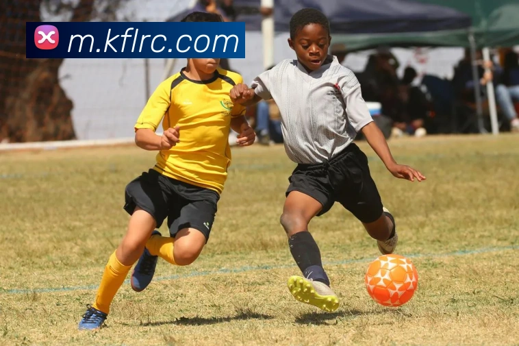 凯发天生赢家一触即发APP 封面图